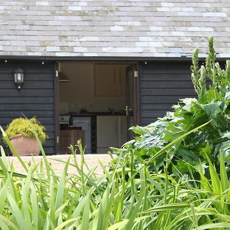 Five Cottages In Aonb アシュフォード エクステリア 写真